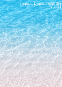 Tropical Beach Photo 281 Not AI