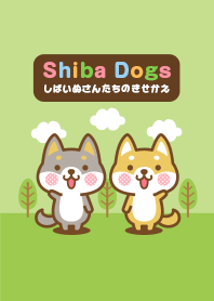 柴犬さんたちの着せかえ