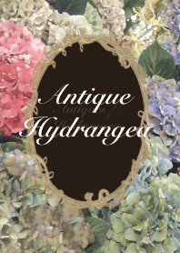 Antiques＿Hydrangea