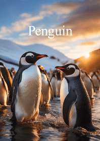 ペンギン vol.1