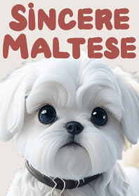 真誠的馬爾濟斯