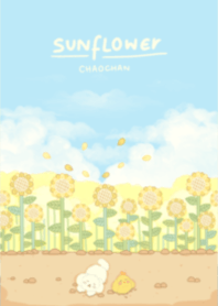 Sunflowers - Chaochan