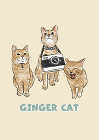 gingercat2 / mist yellow