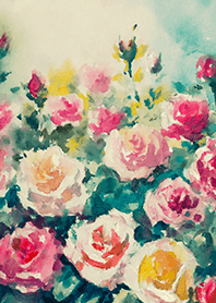 Beautiful rose flower(R4905)