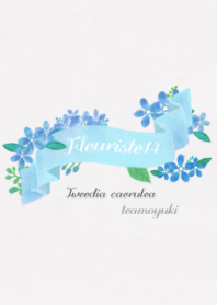 お花屋さん14【ブルースター】
