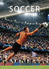 Theme of Soccer11