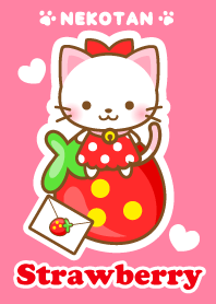 Strawberry Nekotan  1