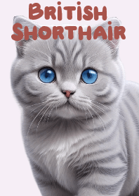 Charming Tabby Cat VOL.6