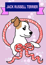 MARINE the Jack Russell Terrier