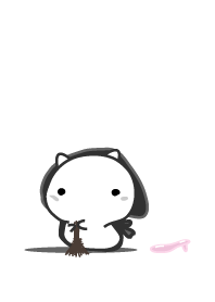 cat staring -8