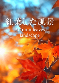 "Autumn leaves landscape vol.1" theme