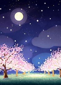 Beautiful night cherry blossoms#1513