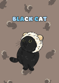 blackcat5 - brown