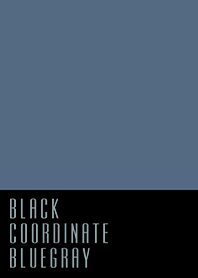 BLACK COORDINATE*BLUEGRAY