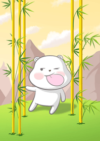 Bear Awry