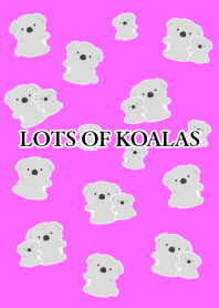 LOTS OF KOALAS-NEON PINK-BLACK