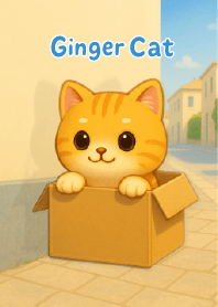 cute carton box cat