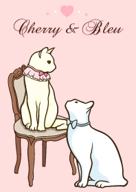 猫カップルチェリー(Cherry)とブルー(Bleu)