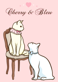 Cat Couple Cherry & Bleu
