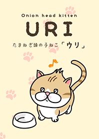 Onion head kitten "URI"