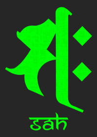 BONJI [saH] BLACK GREEN (0140
