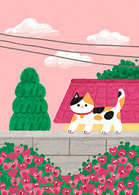 Calico cat and Bougainvillea flower