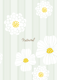 White flower cute17 from Japan