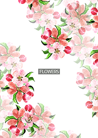 water color flowers_604