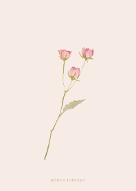 simple Omoikogareru bouquet revised ver