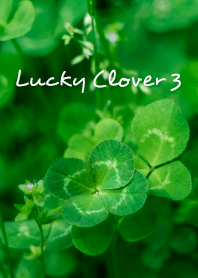Lucky Clover 3