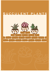 Succulents J-Orange. Beige