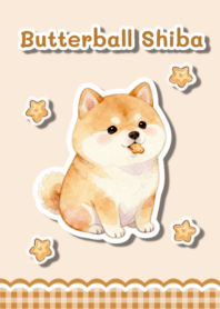 Butterball Shiba