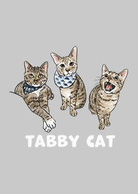 tabbycat2 / grey