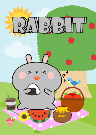 Happy Grey Rabbit Picnic Theme