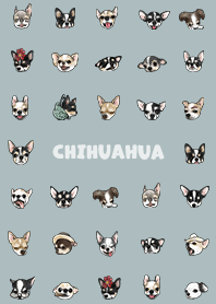 chihuahua2 / mist blue