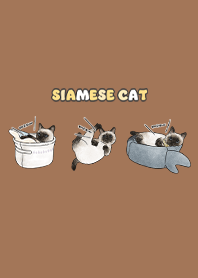 siamesecats5 / dark caramel