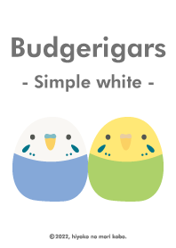 Budgerigars (Simple white)