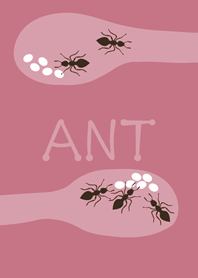 The ants I raised(rose pink)