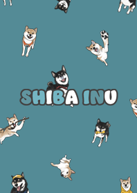 shibainu3 / neil blue
