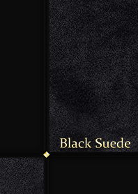 black suede