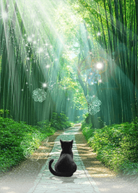 Black cat and fresh green bamboo forest2