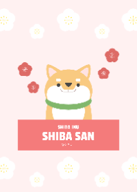 SHIBAINU SHIBASAN -plum blossom-