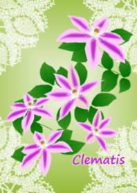 Clematis(flower)