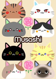 Musashi Scandinavian cute cat4