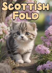 Innocent Scottish Fold Cat VOL.4