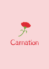 Simple -Carnation-