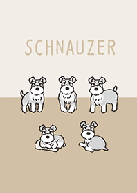 Doodle Salt and pepper schnauzer 01.