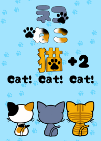 ネコ、ねこ、猫+２