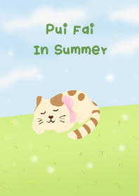 Pui Fai : In Summer
