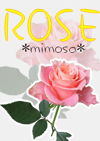 *Flower* Rose #01-8